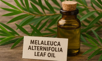 Olje Tea tree Naravna antiseptična in protivnetna moč